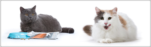 TROVET odpowiednia nagroda dla kotów